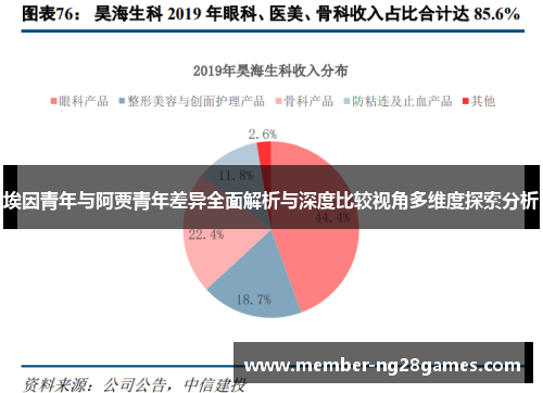 埃因青年与阿贾青年差异全面解析与深度比较视角多维度探索分析 埃因青年与阿贾青年差异全面解析与深度比较视角多维度探索分析