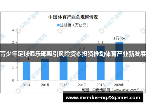 青少年足球俱乐部吸引风险资本投资推动体育产业新发展 青少年足球俱乐部吸引风险资本投资推动体育产业新发展
