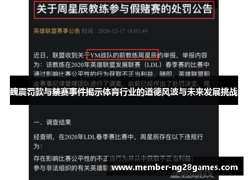魏震罚款与禁赛事件揭示体育行业的道德风波与未来发展挑战
