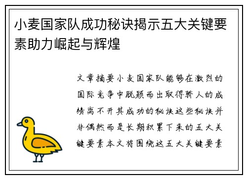 小麦国家队成功秘诀揭示五大关键要素助力崛起与辉煌